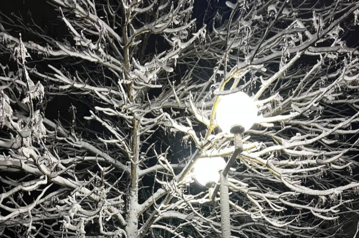    На Крещение в Белгороде ожидается плюсовая температура