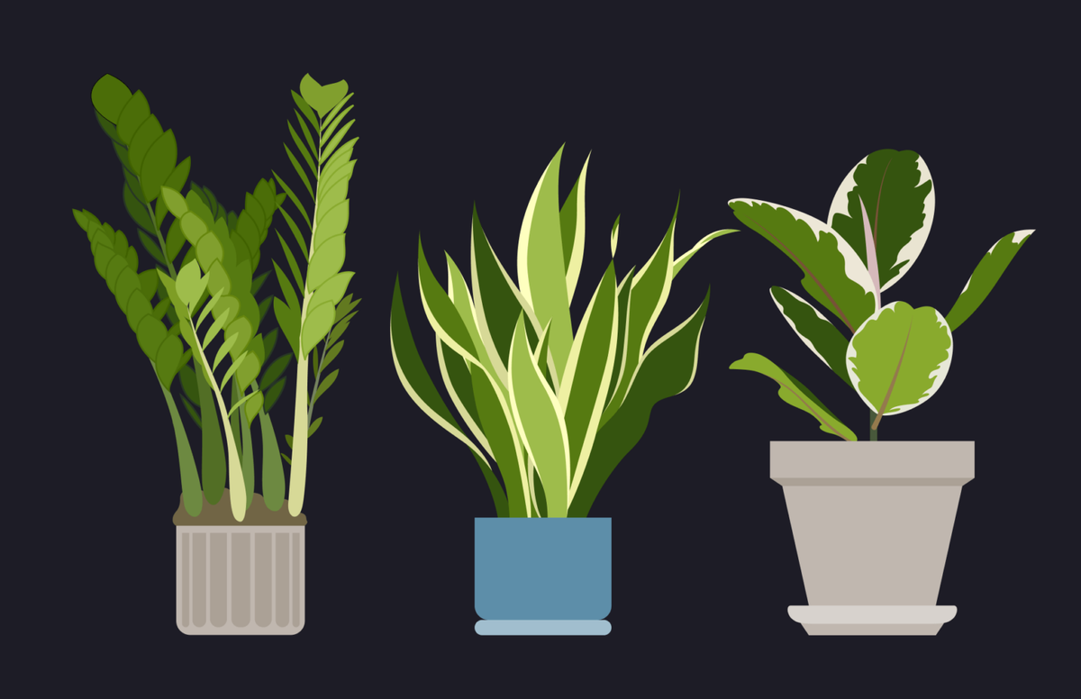    Иллюстрации: Мария Щеглова Алиса Алексеева