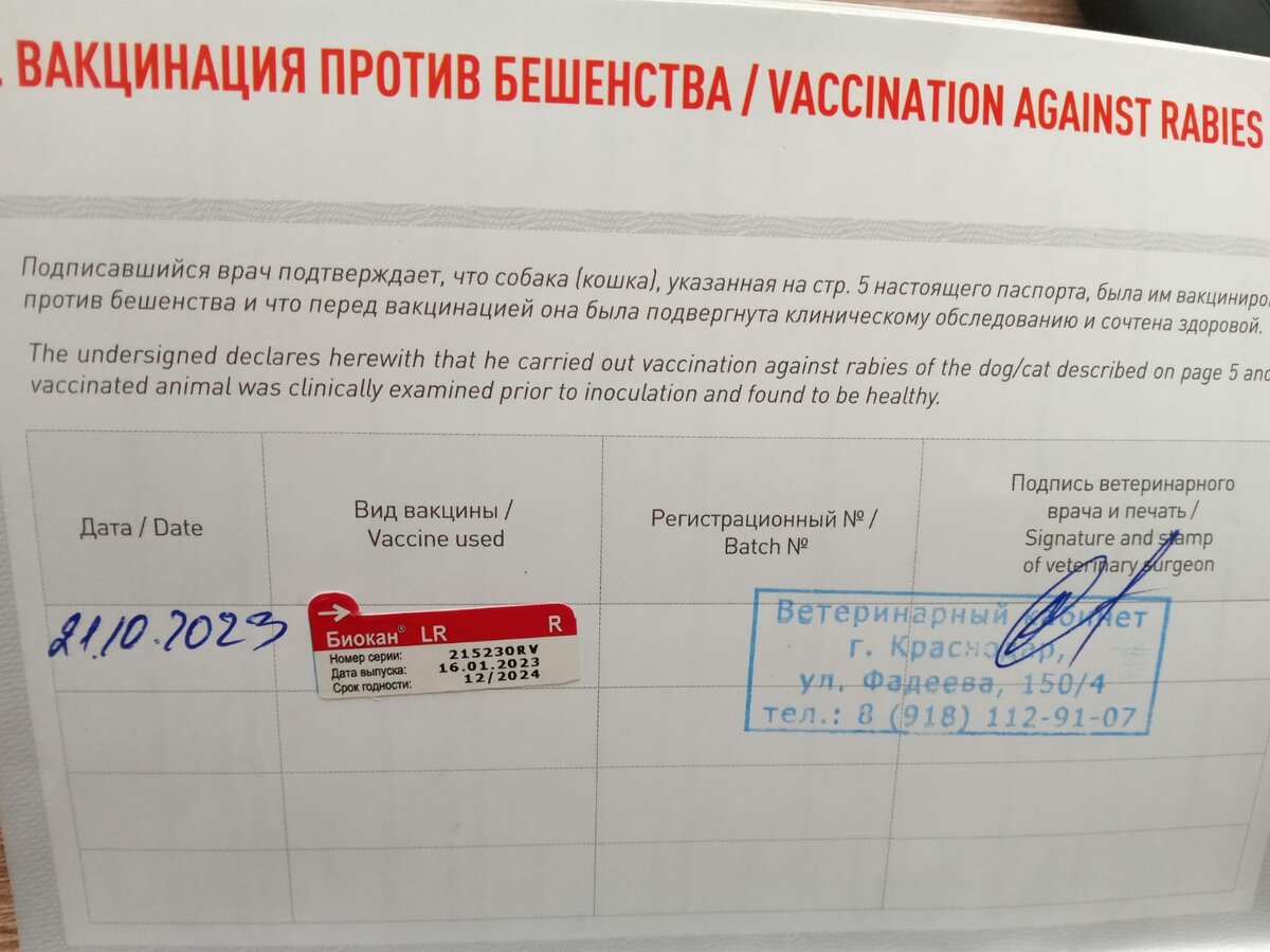 Прививка, сделанная Луше перед поездкой