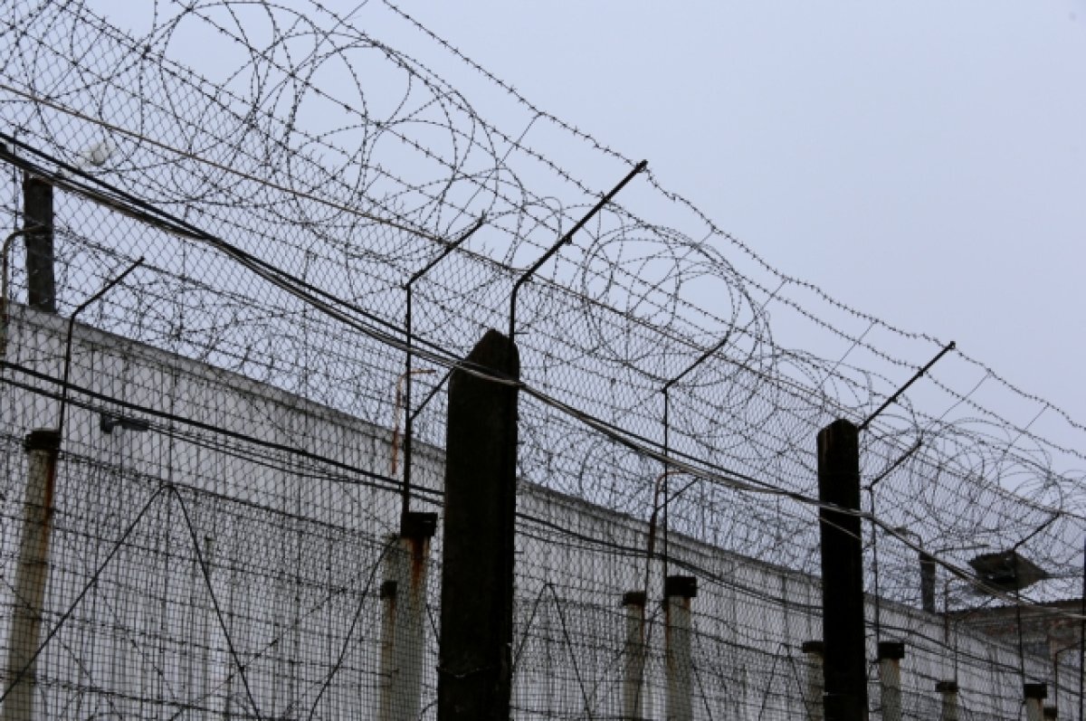    Год грозит волгоградке за неуплату алиментов своим трём дочерям