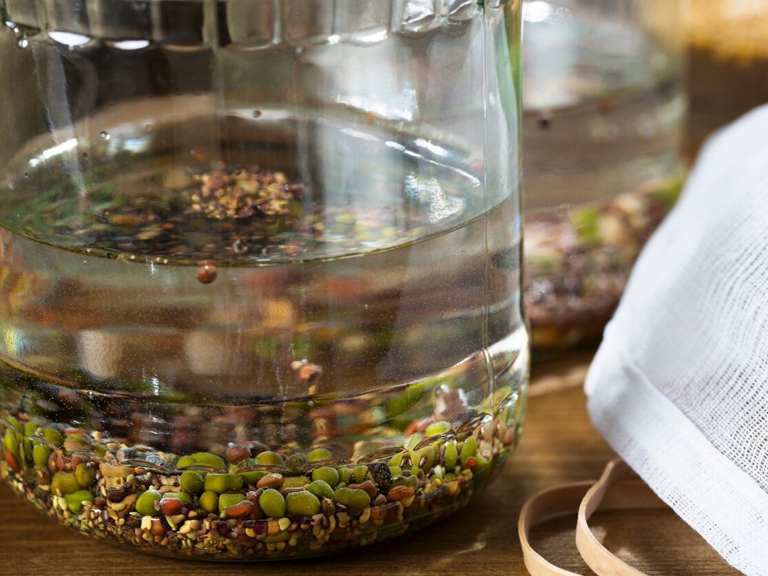 Самый простой способ повысить всхожесть семян - это замачивание. Но в некоторых случаях оно противопоказано. Дальше мы расскажем, почему. Фото: gardeningknowhow.com