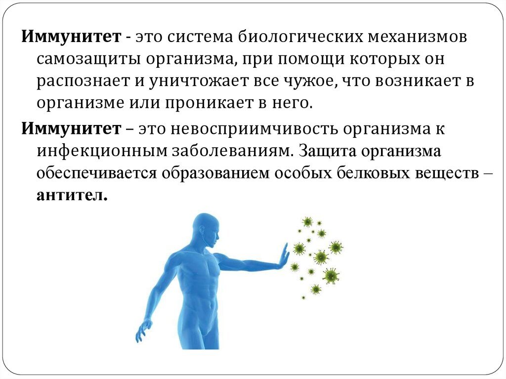 Основные механизмы защиты организма от инфекции. Иммунитет человека. Иммунитет иммунная система человека. Защитная реакция организма. Защитные функции организма.