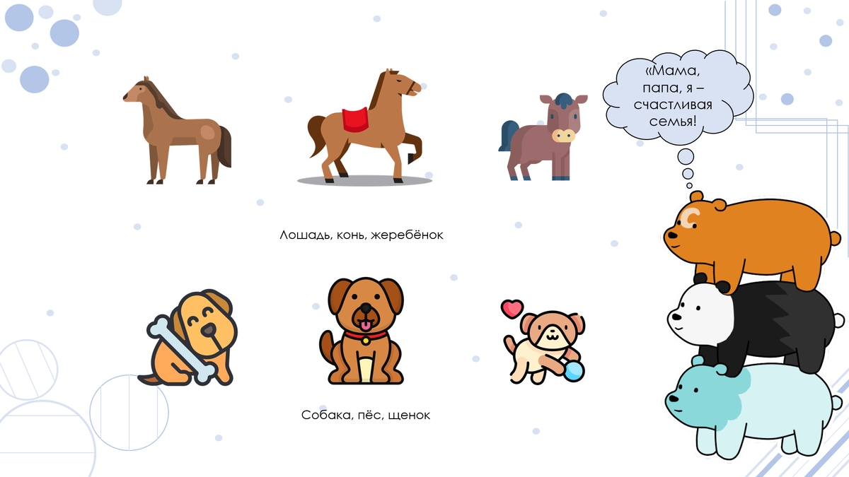 Назови семью лошади и собаки