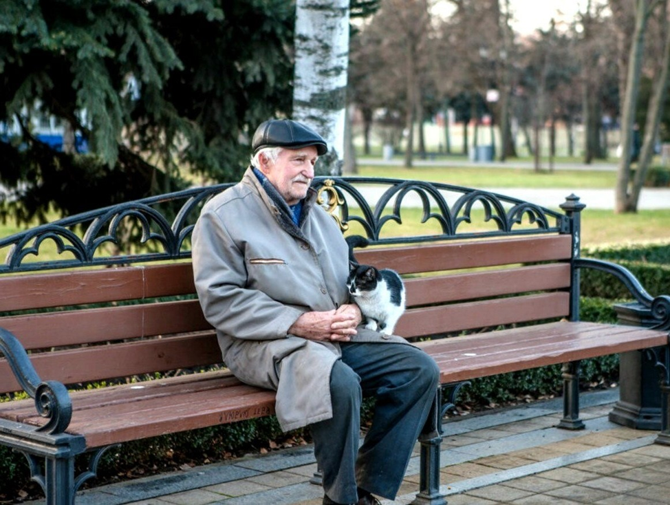 Пожилой мужчина москва. Старик сидит на скамейке. Дедушка на скамейке. Старики на лавочке. Старик на скамейке в парке.