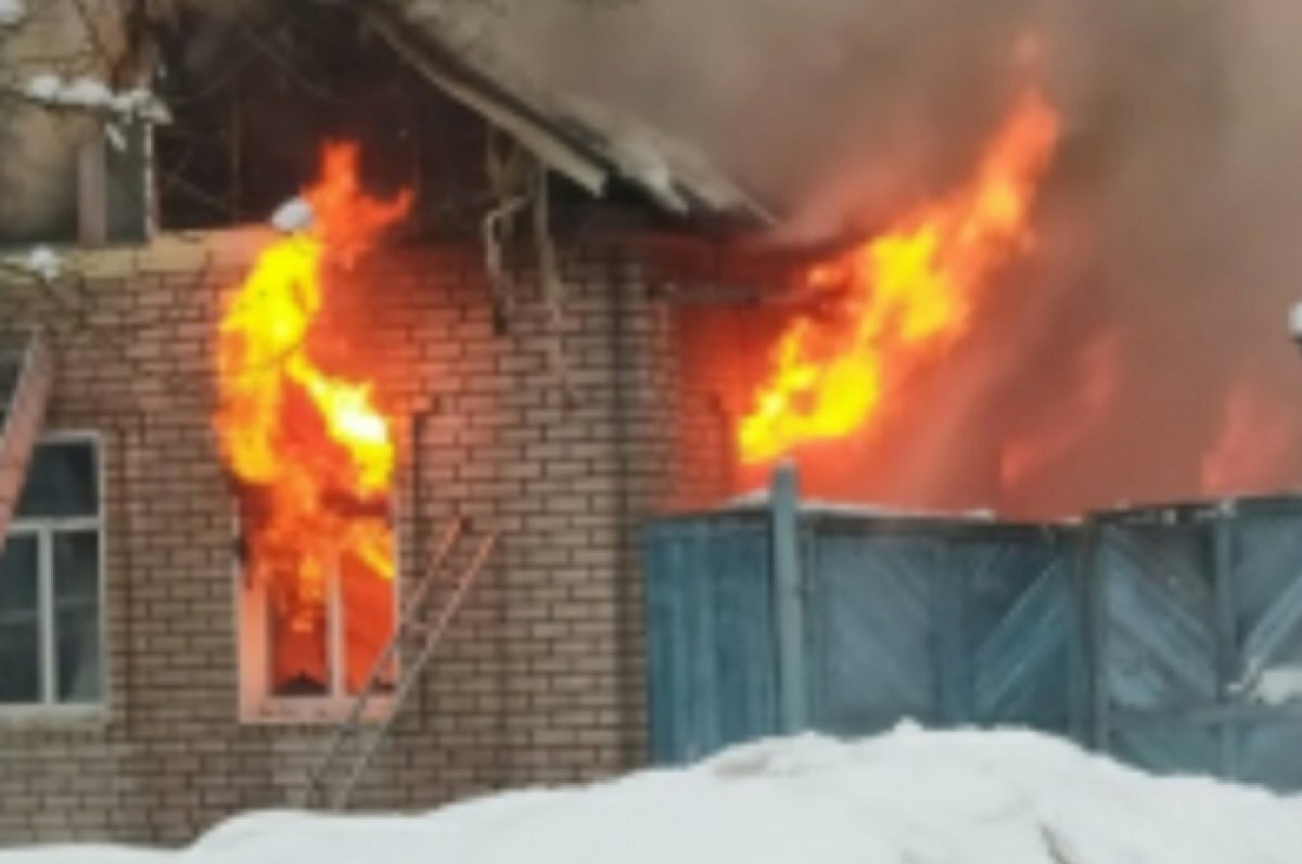    Погорельцы из Бежецка с ребёнком остались на пепелище с животными