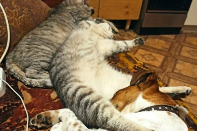    Фото: Кадр vk.com/ Екатерина Иванова