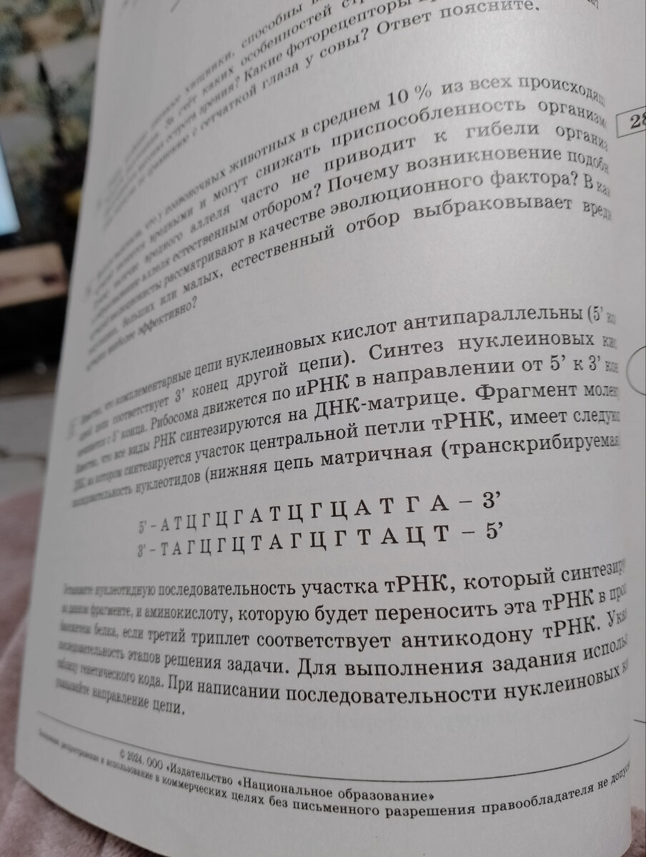 Добавьте описание