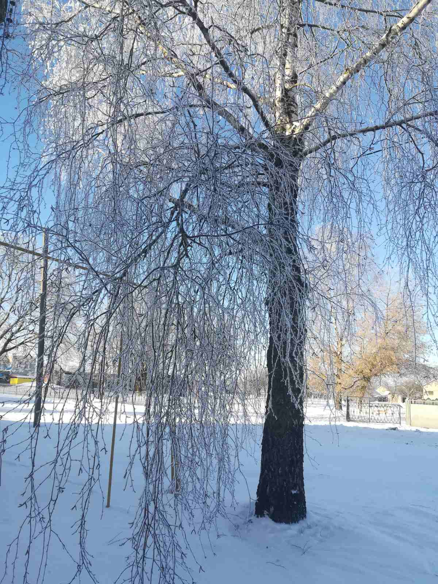 Здешние места