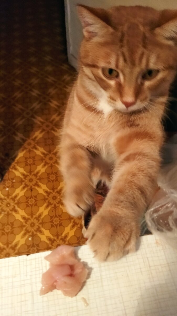 пойдем в кино картинки прикольные. поход мем. пошли в кинотеатр. пошли пожрем мем. кинотеатр мем.