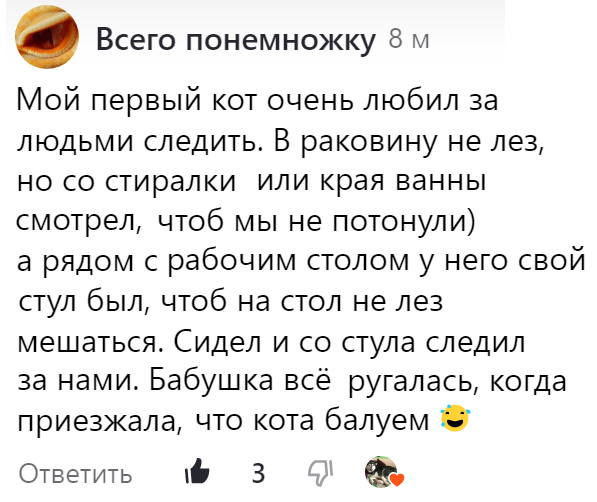 Взрослый кот вдруг стал гадить, как отучить? ( - ответов на форуме эталон62.рф ()