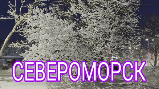 СЕВЕРОМОРСК В ЯНВАРЕ * ПРОГУЛКА ПО ГОРОДУ * ОТВЕЧАЮ НА ВОПРОС ПРО КВАРТИРУ