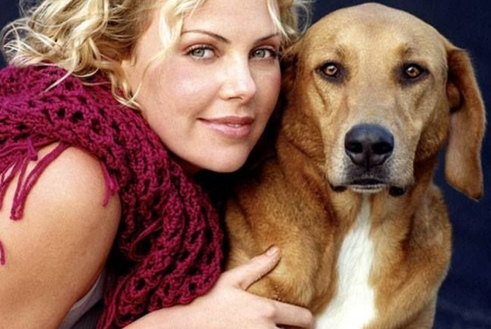 Шарлиз Терон с собакой. Шарлиз Терон фото с собакой. Знаменитые российские актрисы с собачкой. Знаменитые люди и их питомцы.