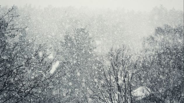 Снежный шторм возвращается в Поволжье и Предуралье | Метеовести | Дзен