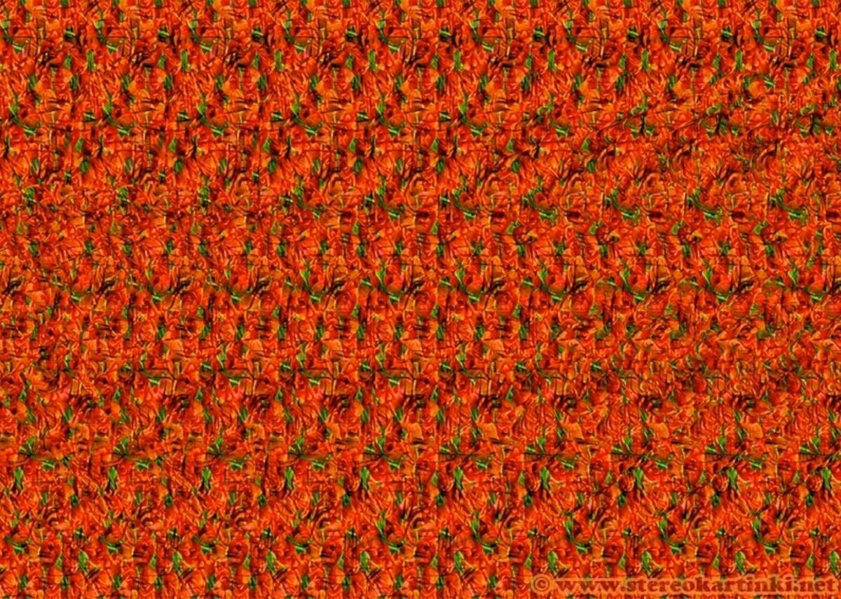 Стереокартинки для тренировки глаз