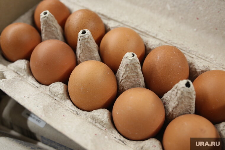 Сколько градусов в тюмени в 2023. Климат в тюмени летом. Сколько градусов в тюмени в 2023. Климат тюмени. Температура воздуха днём в ноябре.