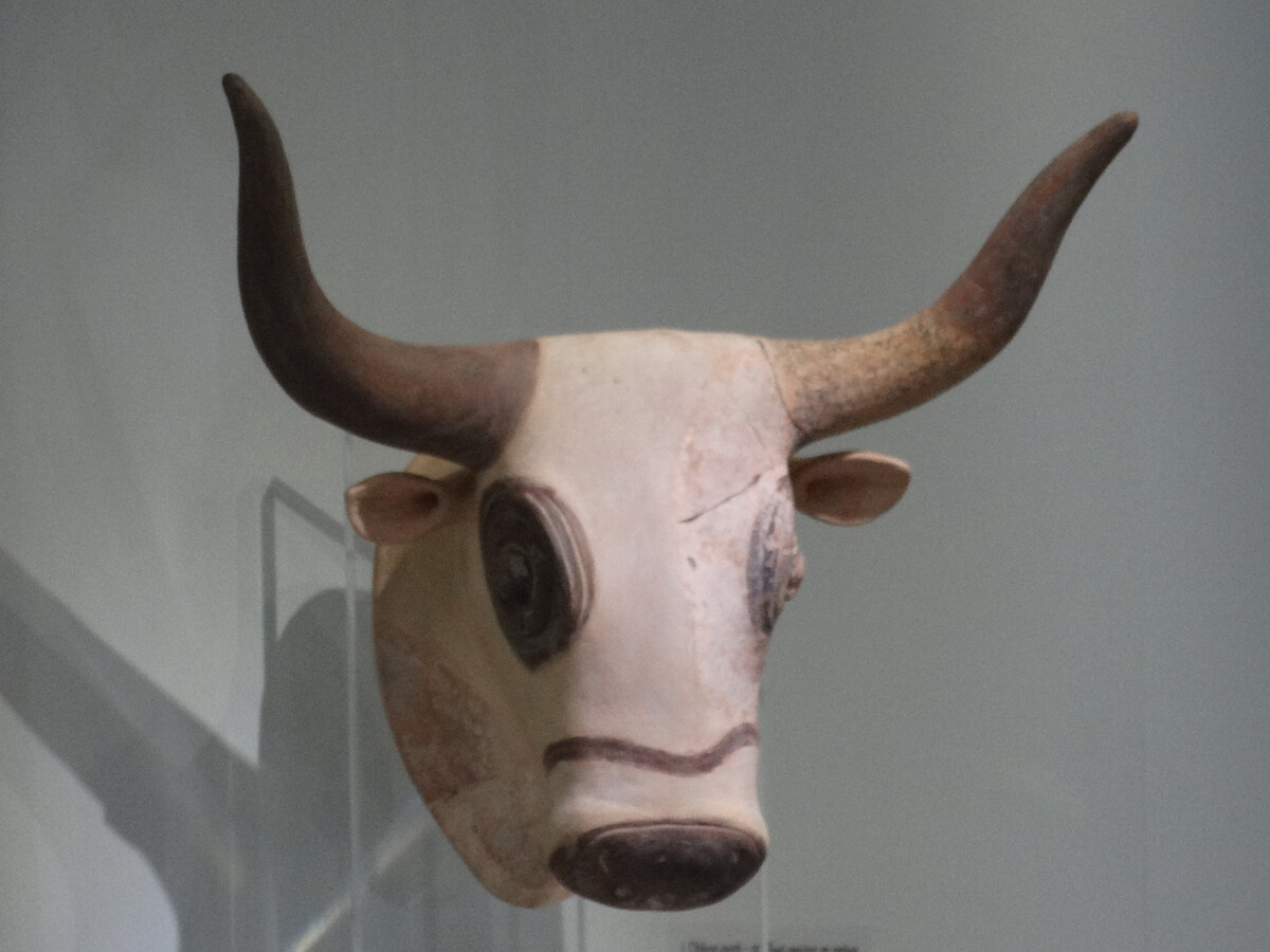 Белый бык. Ираклион. Археологический музей.