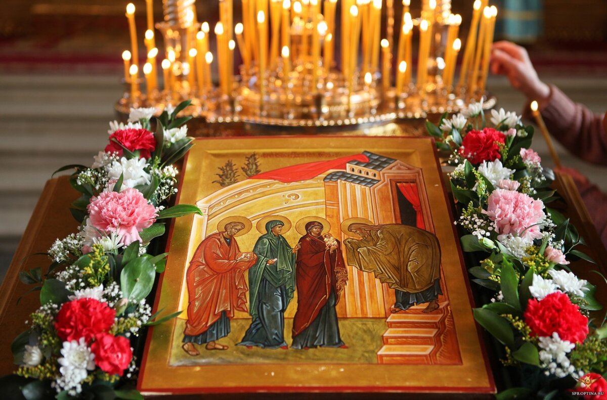 Не заботься что есть что пить. Что можно попить. Истина в вине в воде микробы. Не заботься что есть что пить. Сегодня буду пить.