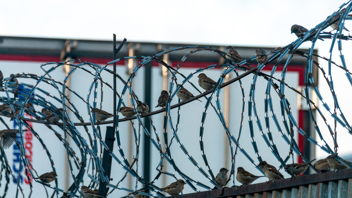 ФОТО: SVETLANA VOZMILOVA/GLOBALLOOKPRESS