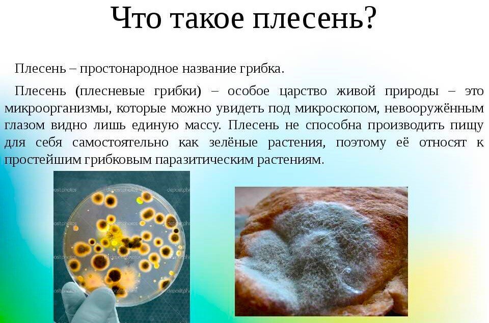 Фото из открытых источников.