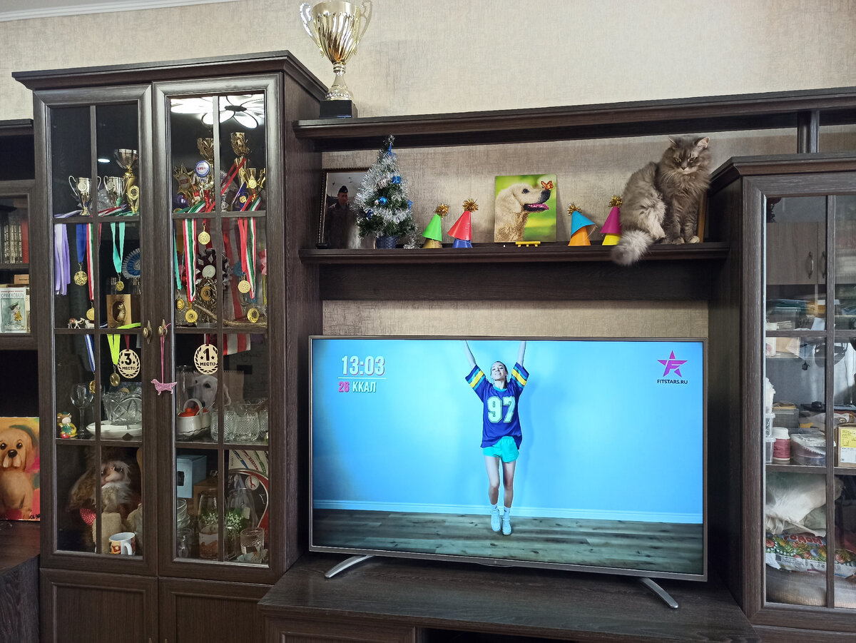 Маняха над телевизором, а Илона в телевизоре