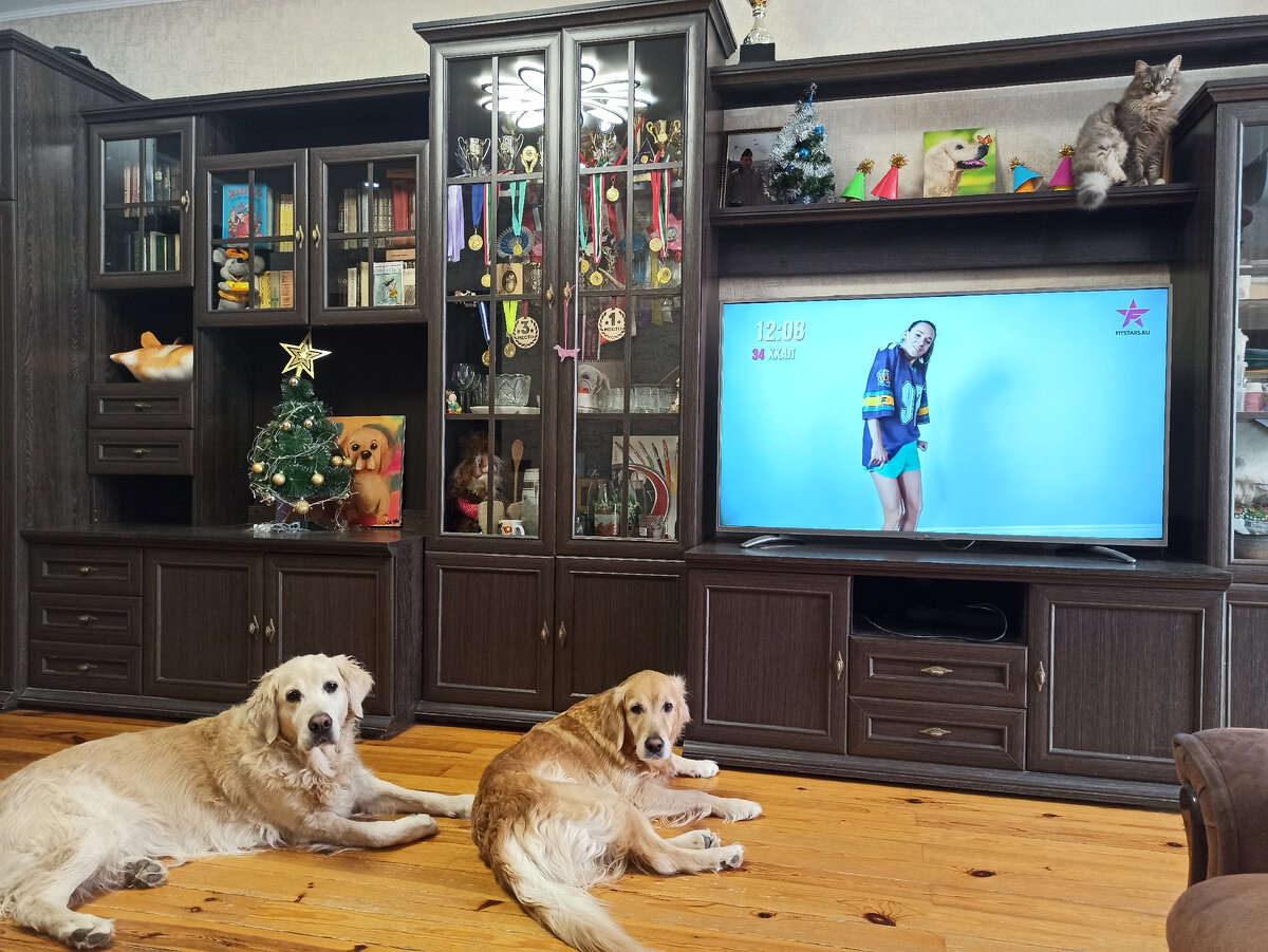 Вся компания смотрит фитнес — Куба, Ляля и Маняха на полке