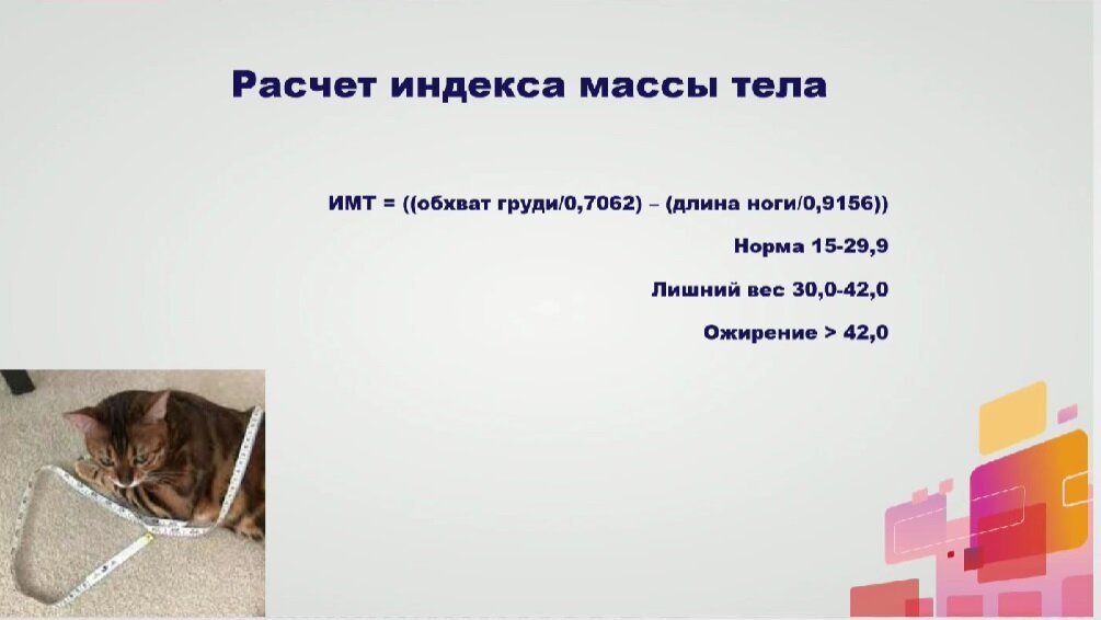 Слайд из лекции Ольги Михеевой