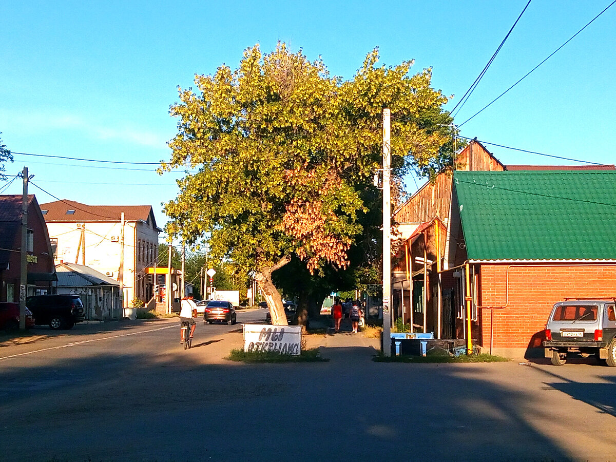 Рассказ «Мудрый жених». СЕРПАНТИН ЖИЗНИ
