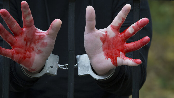 Nikolay Gyngazov/Globallookpress