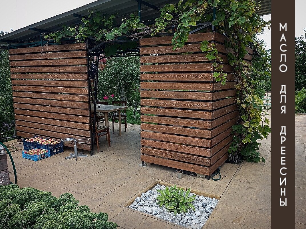 Фото из сети