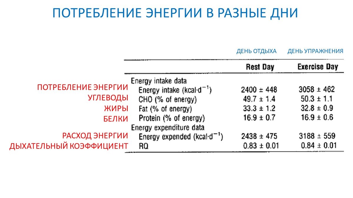 Ускорение метаболизма на 14 часов после тренировки. Научный эксперимент |  Василий Волков | Дзен