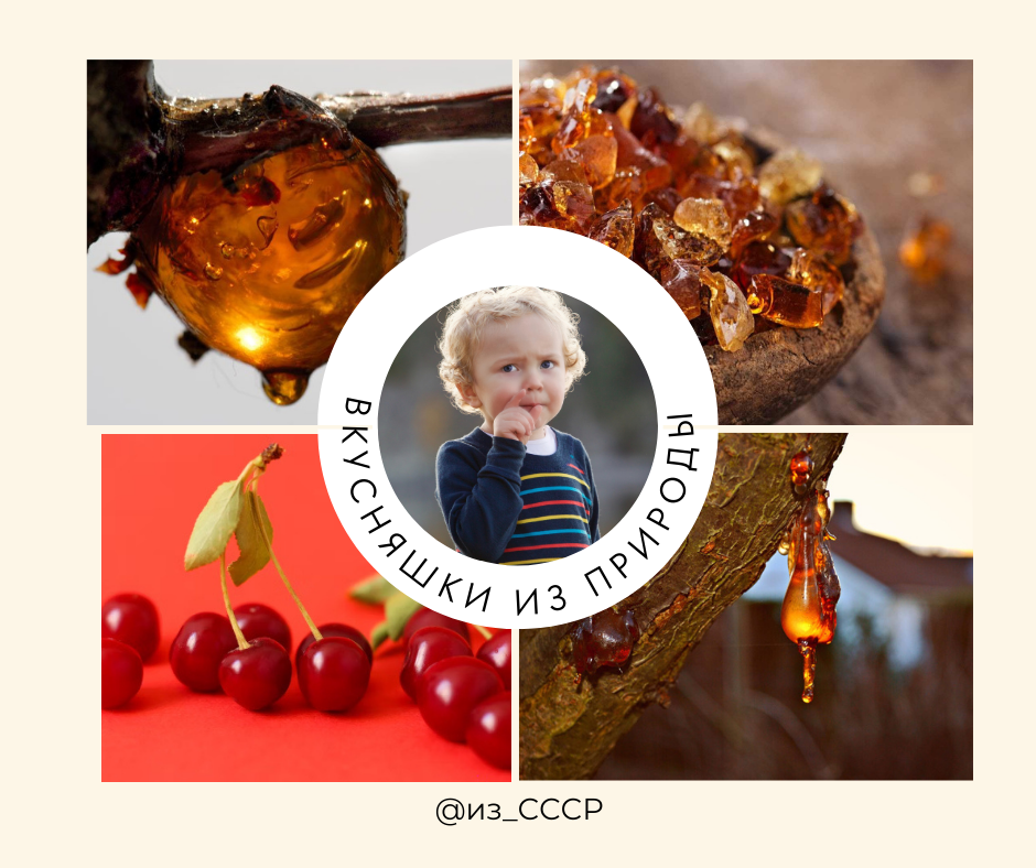 Стихи об охране природы для детей. Лес наше богатство. Стихи об охране природы. Стихи про леса. Три предложения о лесе.