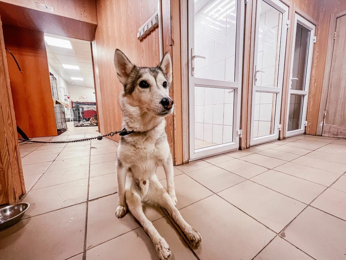 фамилии кончающиеся на ин