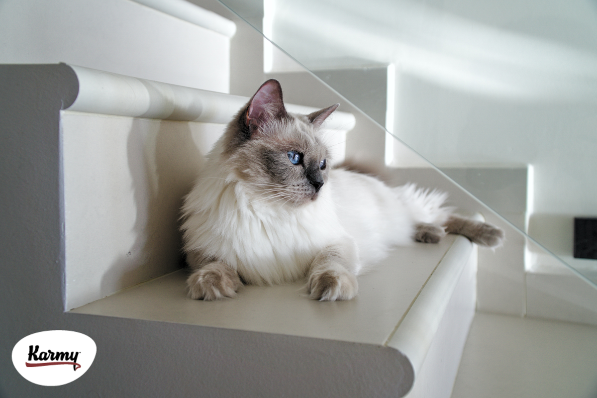 Авторское изображение с использованием картинки с фотостока "Unsplash" 