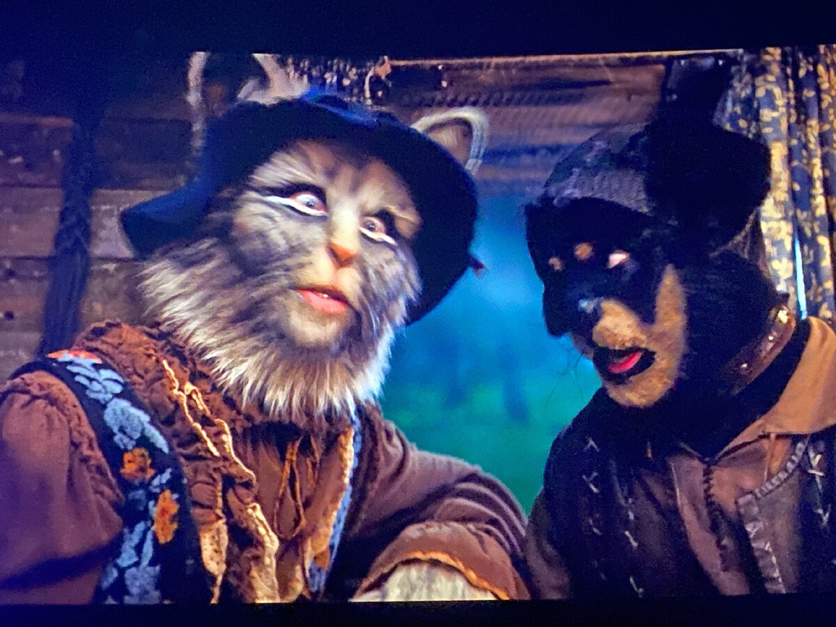 Без комментариев. Фото автора. 