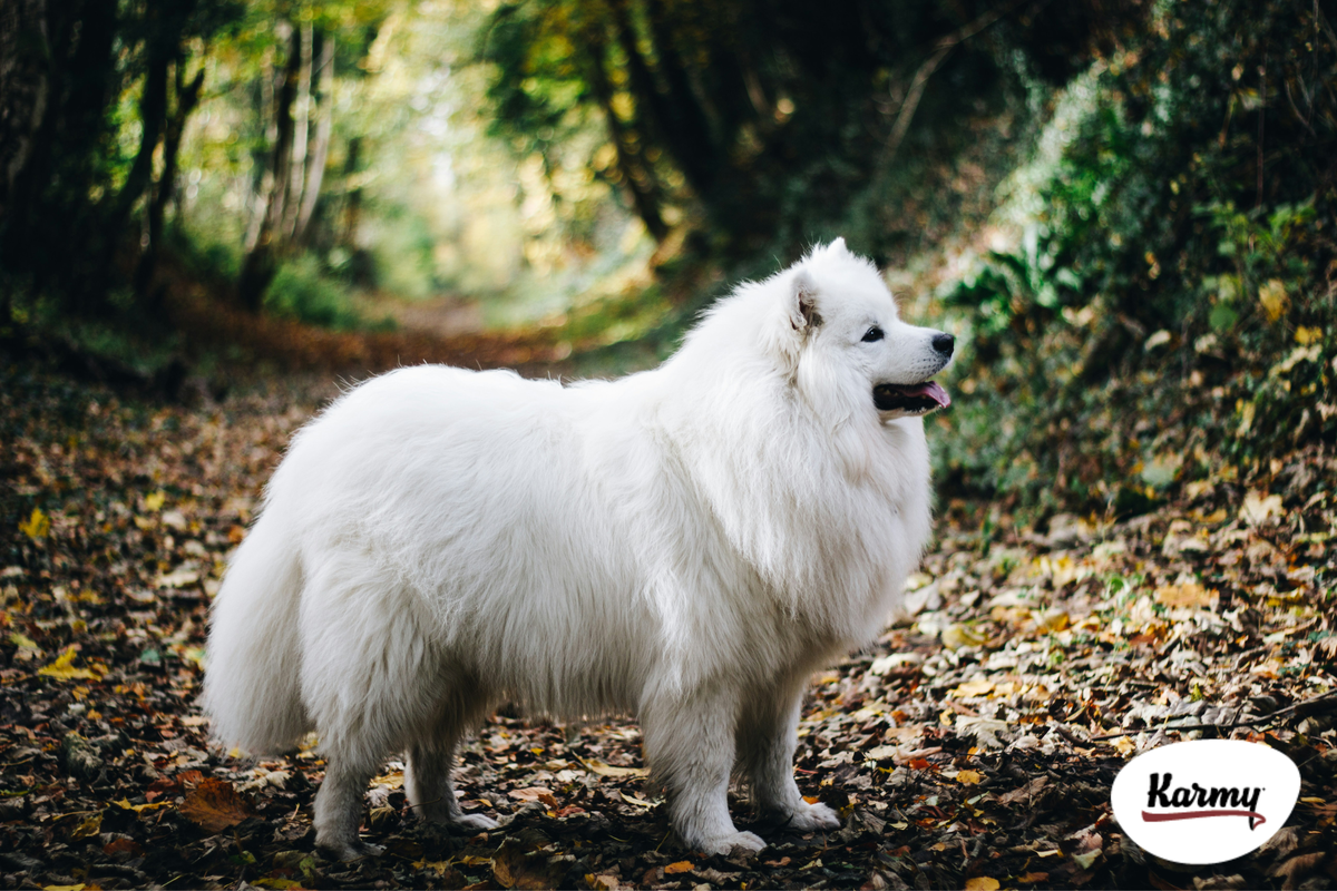 Авторское изображение с использованием картинки с фотостока "Unsplash" 