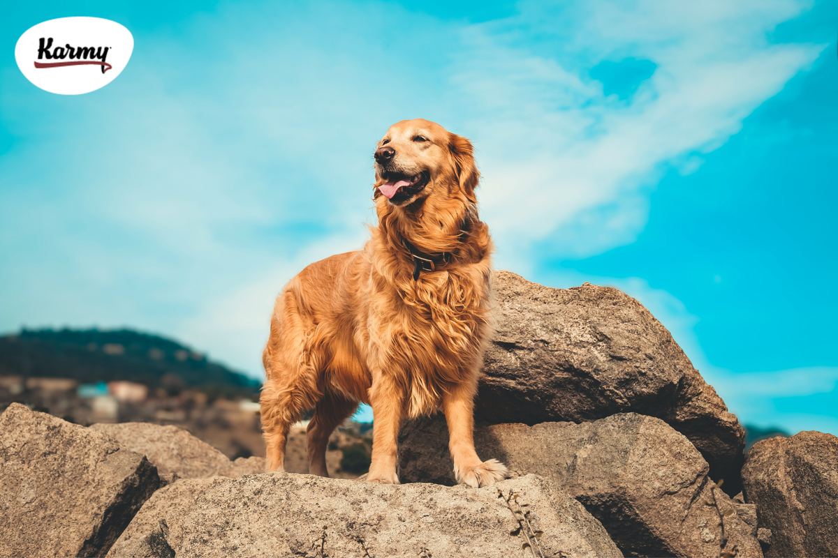 Авторское изображение с использованием картинки с фотостока "Unsplash" 