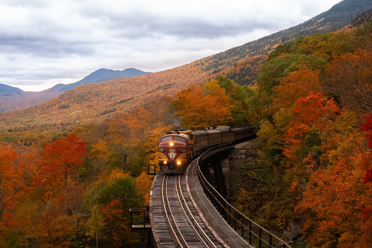 Путешествие на поезде — это возможность увидеть красивые пейзажи
