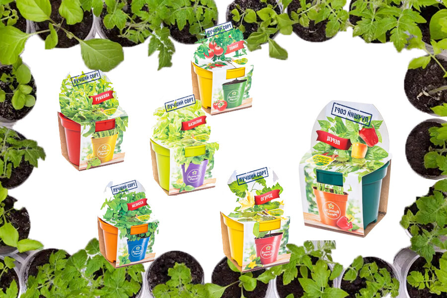 аквариум манкис морские обезьяны. набор для выращивания морских обезьянок фикс прайс. креветки сиа манкис. снеговик фикс прайс. набор для снеговика fix price.