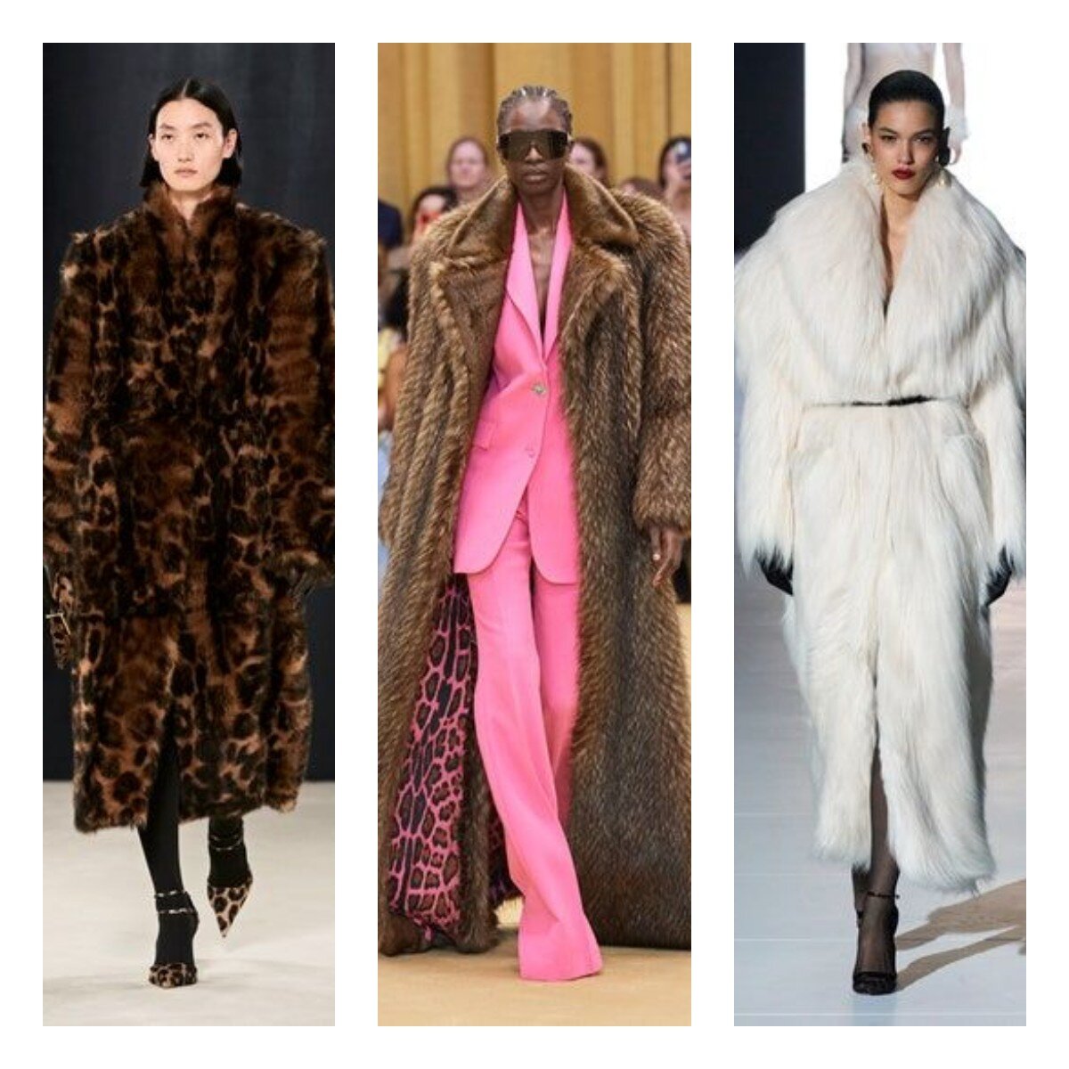 Salvatore Ferragamo / Roberto Cavalli / Dolce&Gabbana AW 23-24