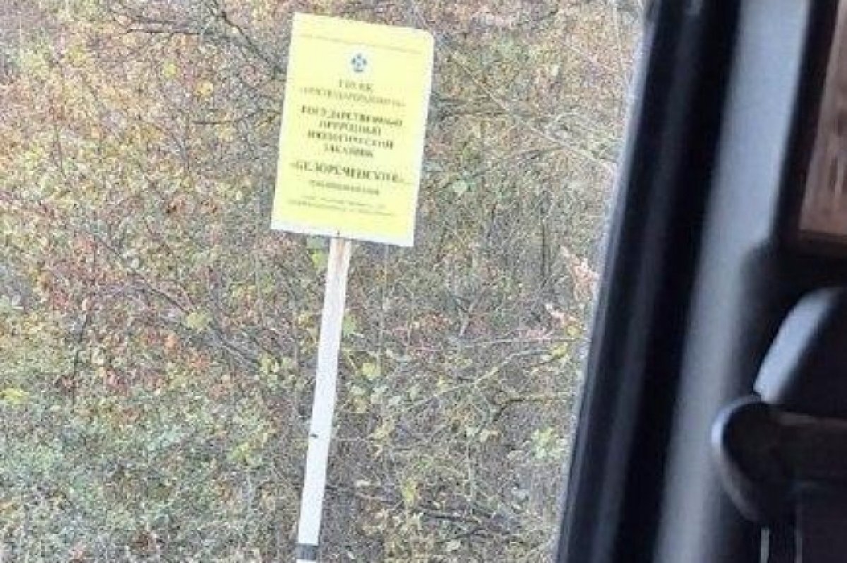    В Краснодарском крае застрелили самку кабана на территории заказника