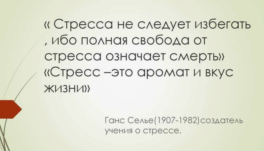 высказывания о мужчинах. человек рядом фраза. близкие рядом цитаты. жизненно важные цитаты. цени человека цитаты.