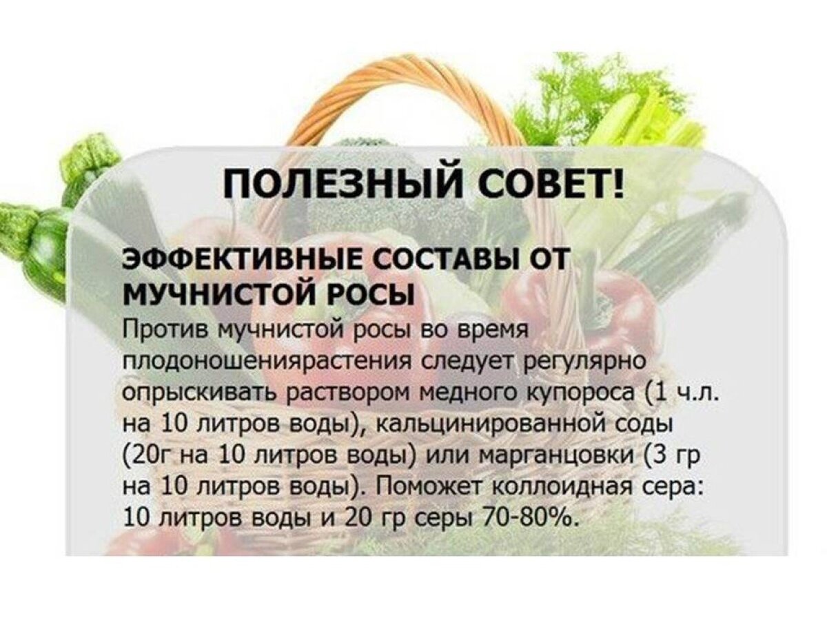 Фото взято из открытых источников