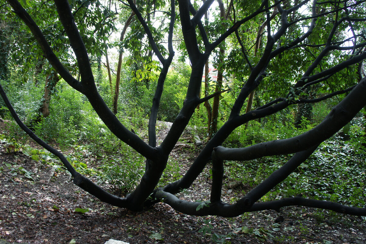 Набережная сочи после наводнения. Потоп в сочи 2020. Сильный ливень в сочи. Подтопления в адлерском районе сочи. Наводнение в сочи 2018.