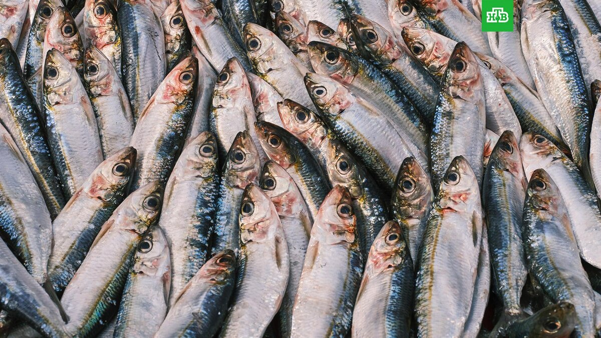    Фото: engin akyurt / unsplash.com