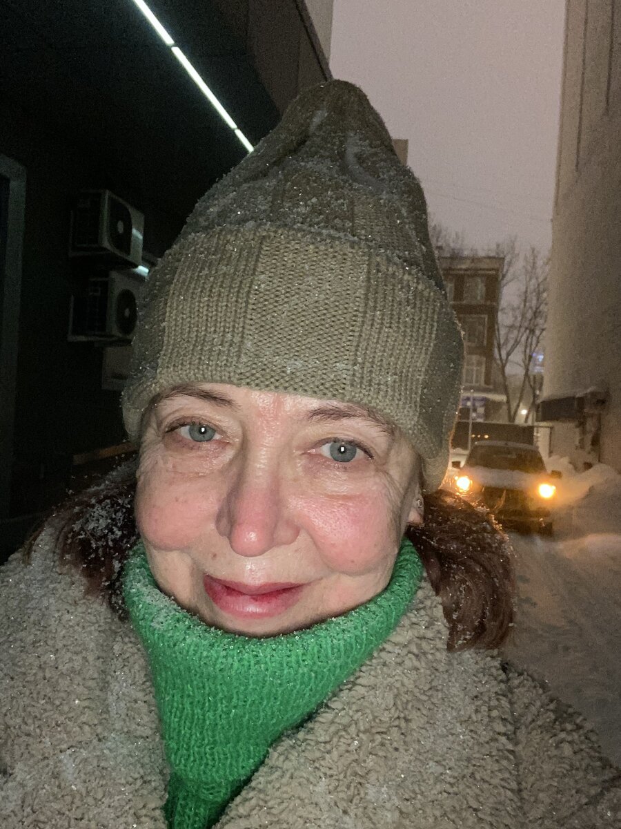 Метель в Москве