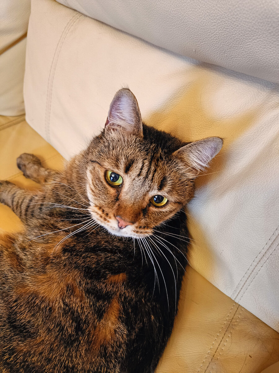 Масик что-то подозревает...