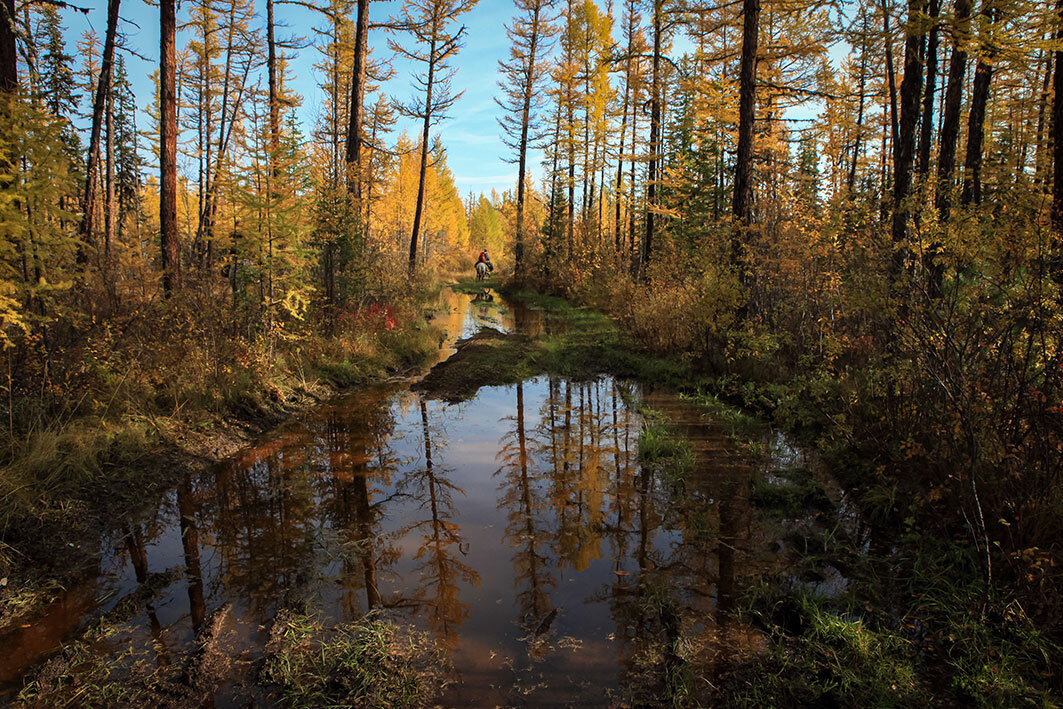 Таежная дорога. Фото Бориса Слепнева
