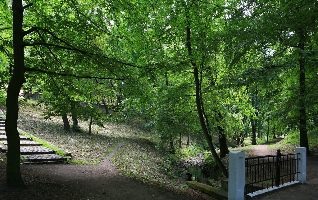 Калининград фото парков