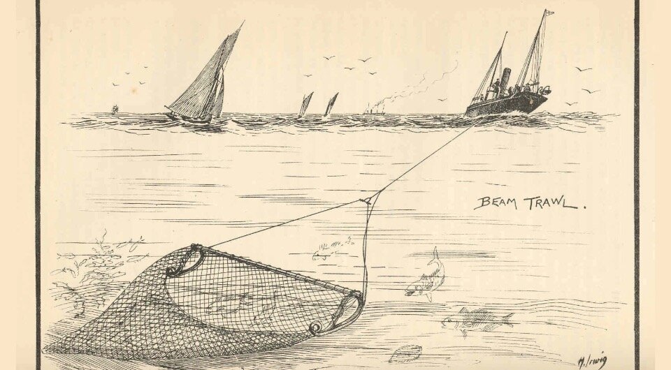   Lindsay Thompson / Freshwater and Marine Image Bank / Public Domain