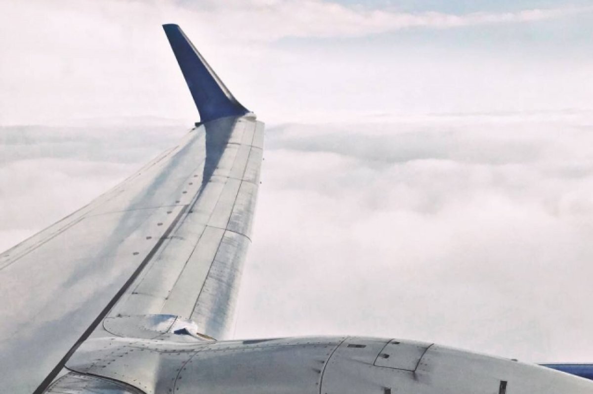    Борт Utair совершил экстренную посадку в аэропорту Перми.